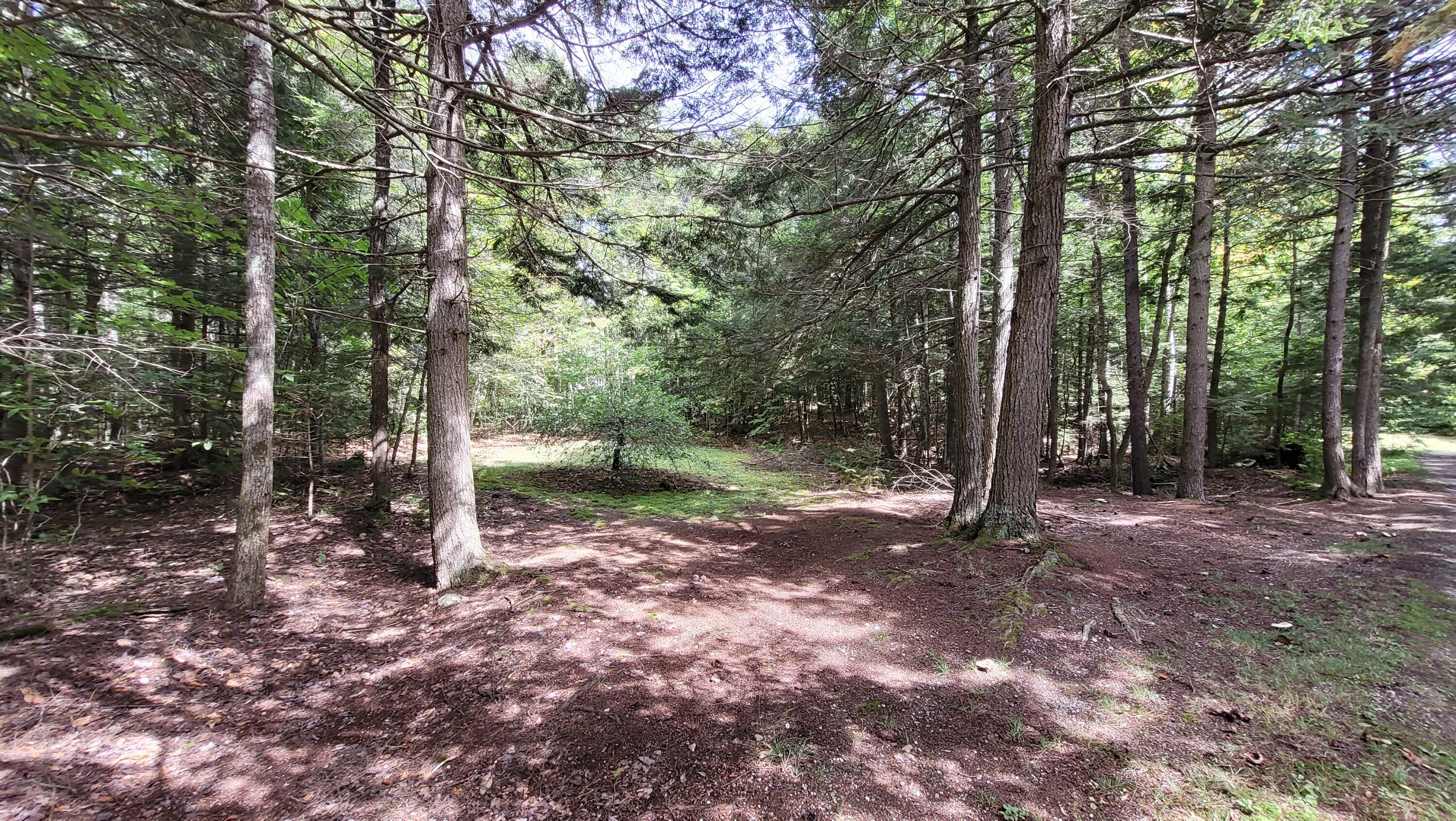 56 Beech Hill Pond Road Dedham, ME 04429 - Photo 8 of 25 20210907_125523