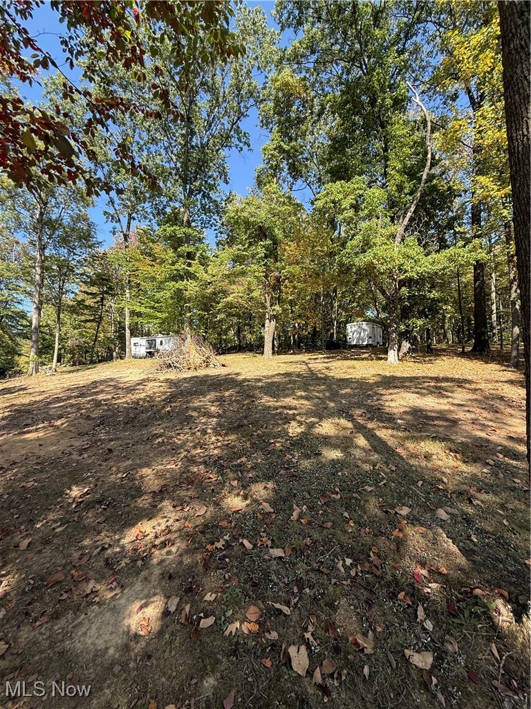 Deer Road Southwest Bowerston, OH 44695 - Photo 4 of 6 View of yard