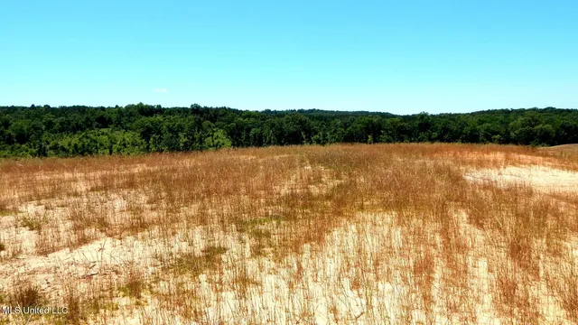 $115,000 | 103 Hugh White State Pk Road, Grenada, MS 38901