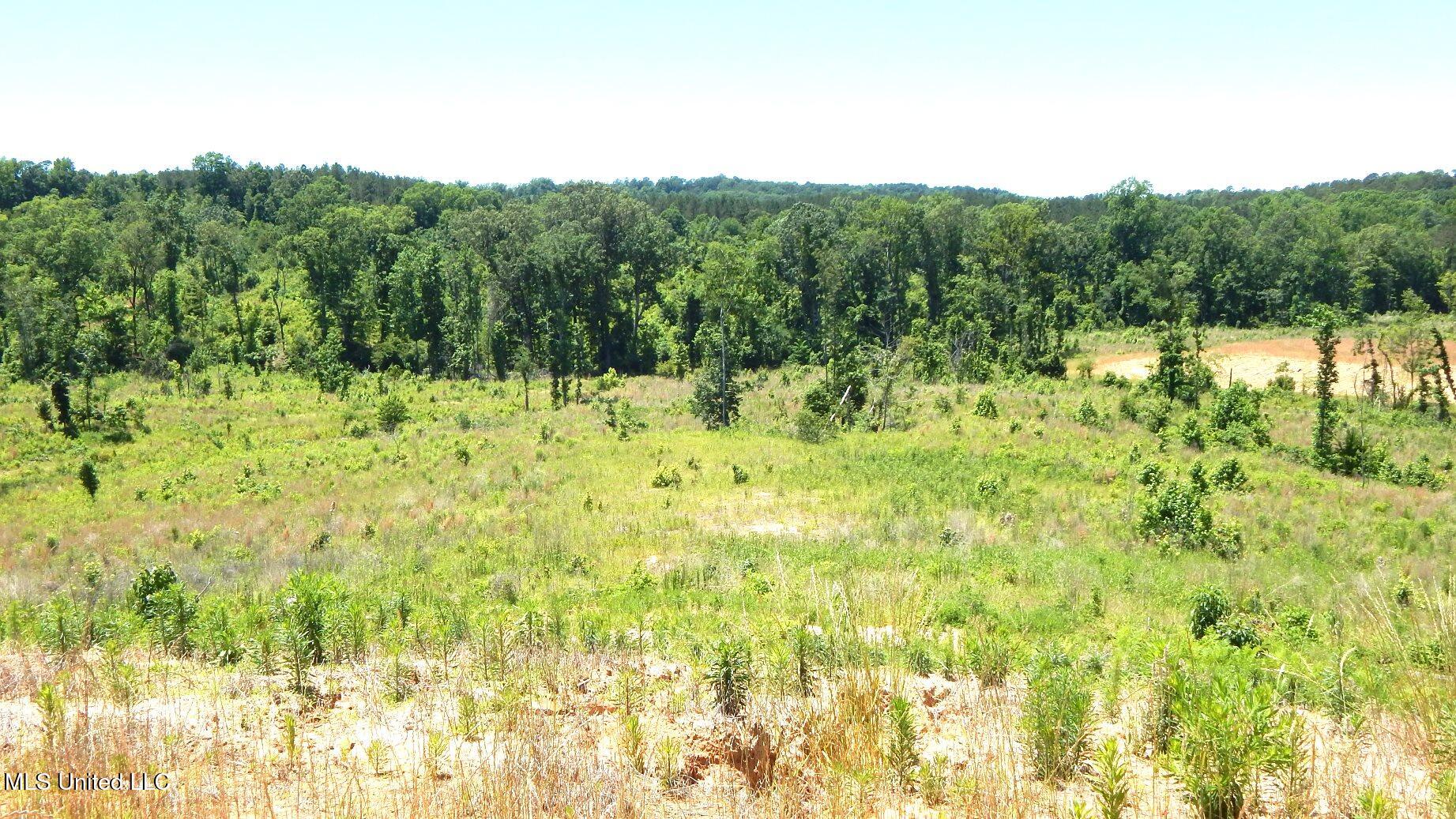 103 Hugh White State Pk Road Grenada, MS 38901 - Photo 2 of 11 DSCN6872