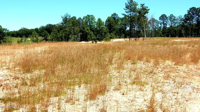 $115,000 | 103 Hugh White State Pk Road, Grenada, MS 38901