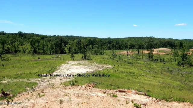 $115,000 | 103 Hugh White State Pk Road, Grenada, MS 38901