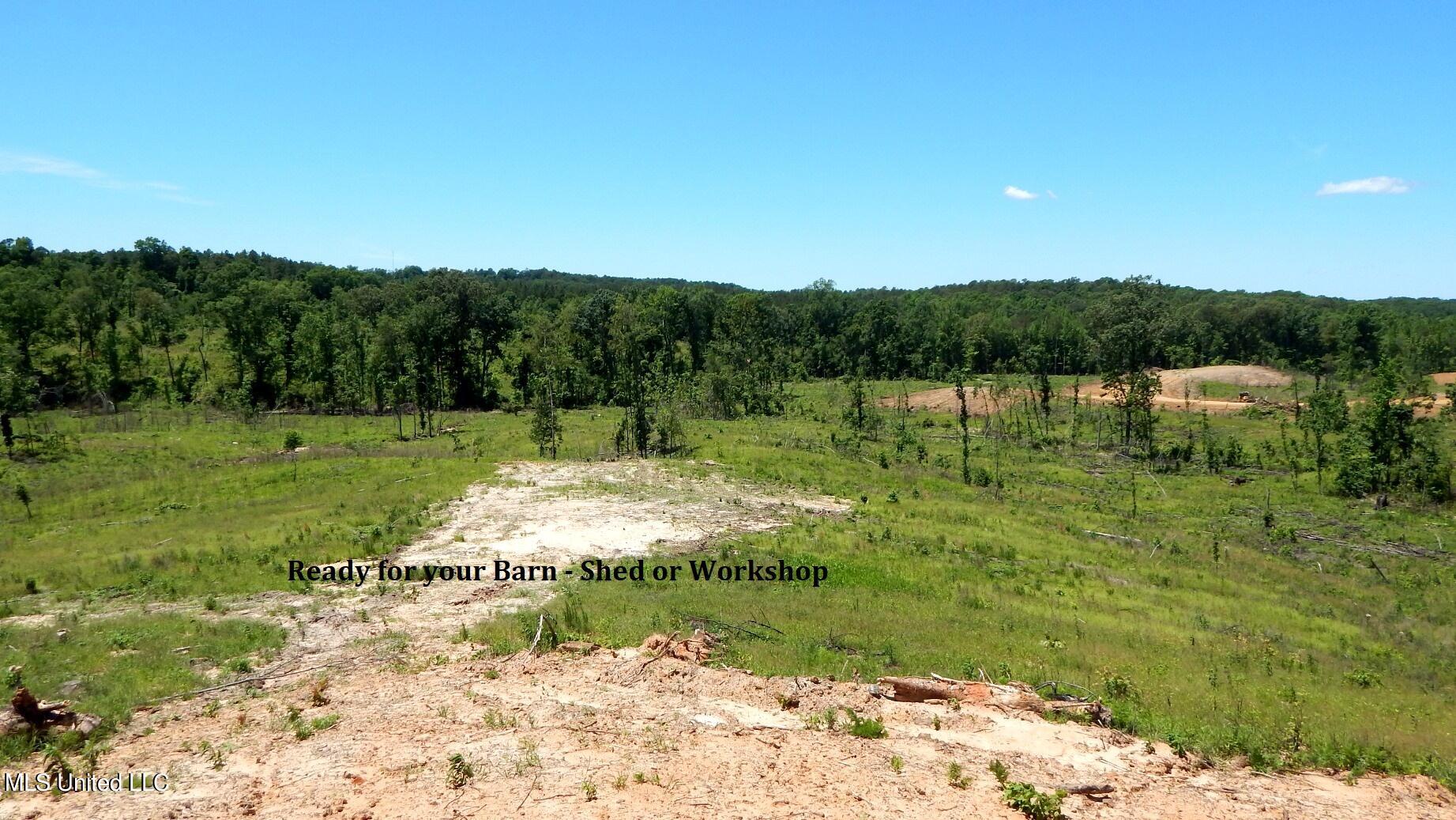 103 Hugh White State Pk Road Grenada, MS 38901 - Photo 4 of 11 DSCN5082