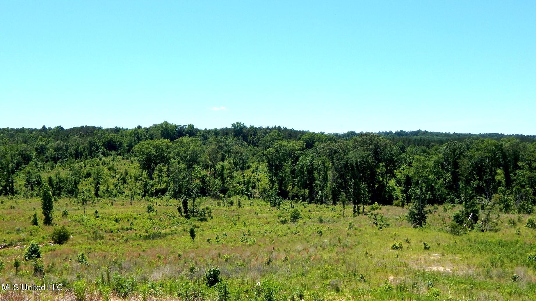 103 Hugh White State Pk Road Grenada, MS 38901 - Photo 5 of 11 DSCN6873