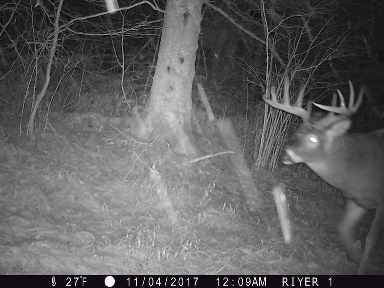 N3302 Pennington Road Prentice, WI 54556 - Photo 29 of 93 Gallery Image 29