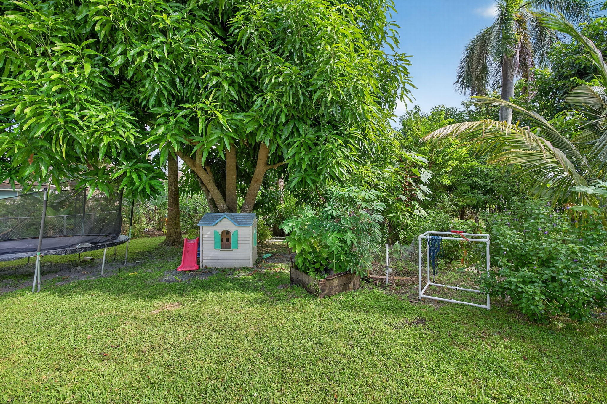 6877 3rd Street Jupiter, FL 33458 - Photo 24 of 25 a garden with trees in front of it
