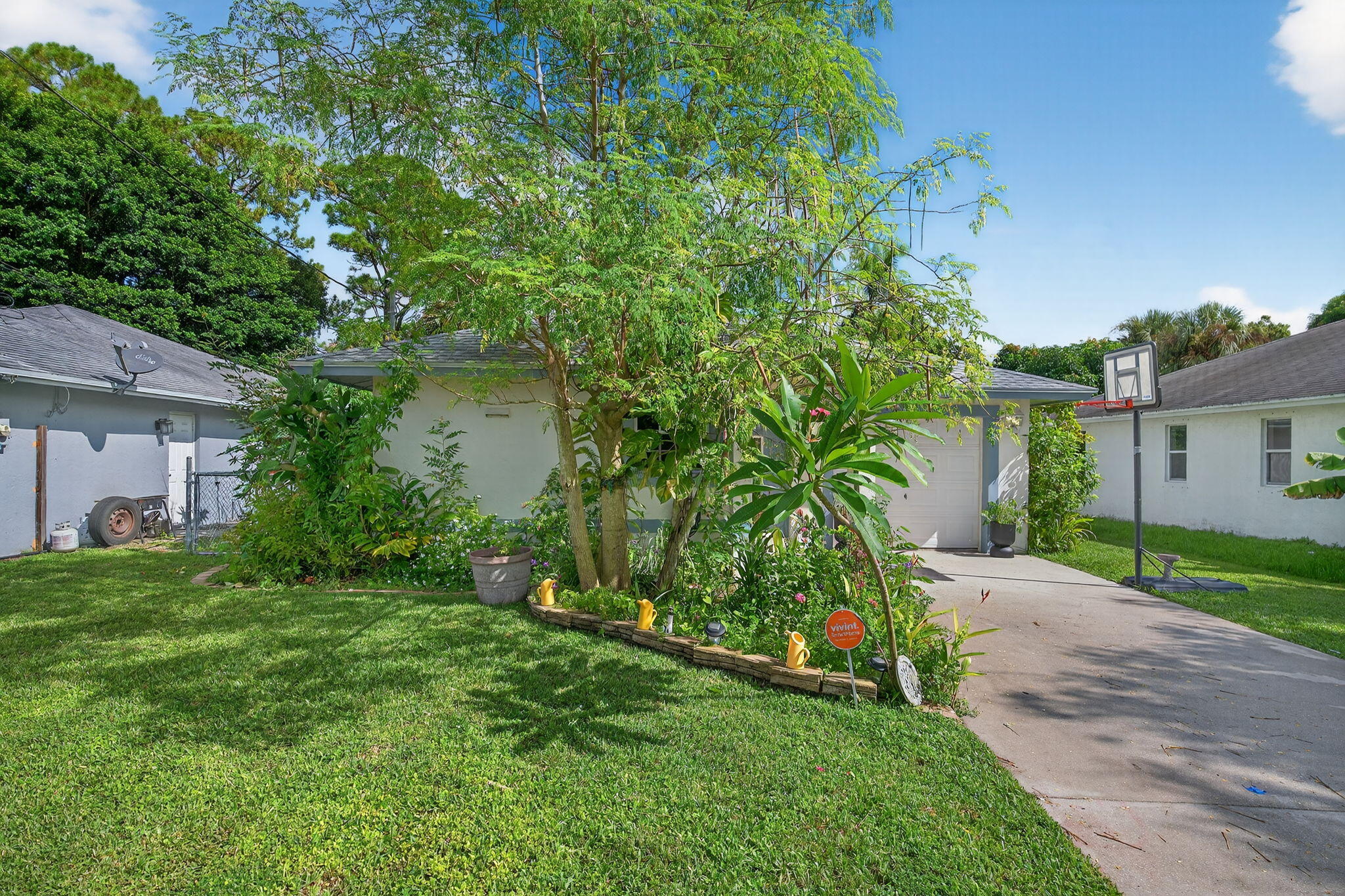 6877 3rd Street Jupiter, FL 33458 - Photo 3 of 25 a backyard of a house with plants and large tree
