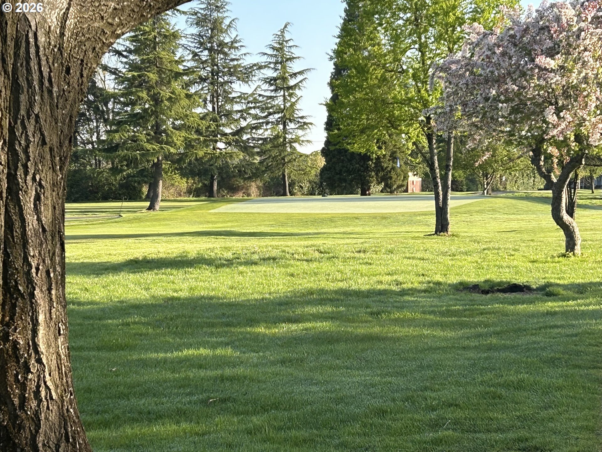 1720 Jansen Way Woodburn, OR 97071 - Photo 41 of 42 a swimming pool with an outdoor space and seating area