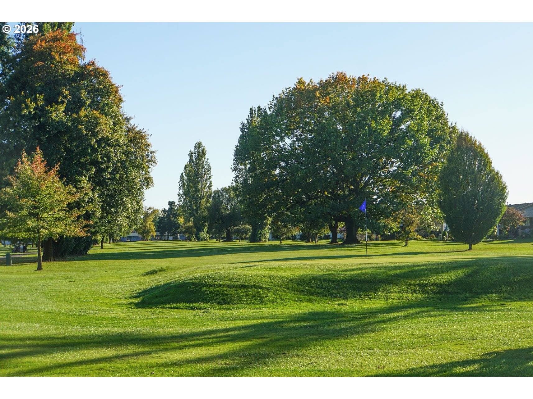 1720 Jansen Way Woodburn, OR 97071 - Photo 42 of 42 a view of a big yard of a house and trees in the background