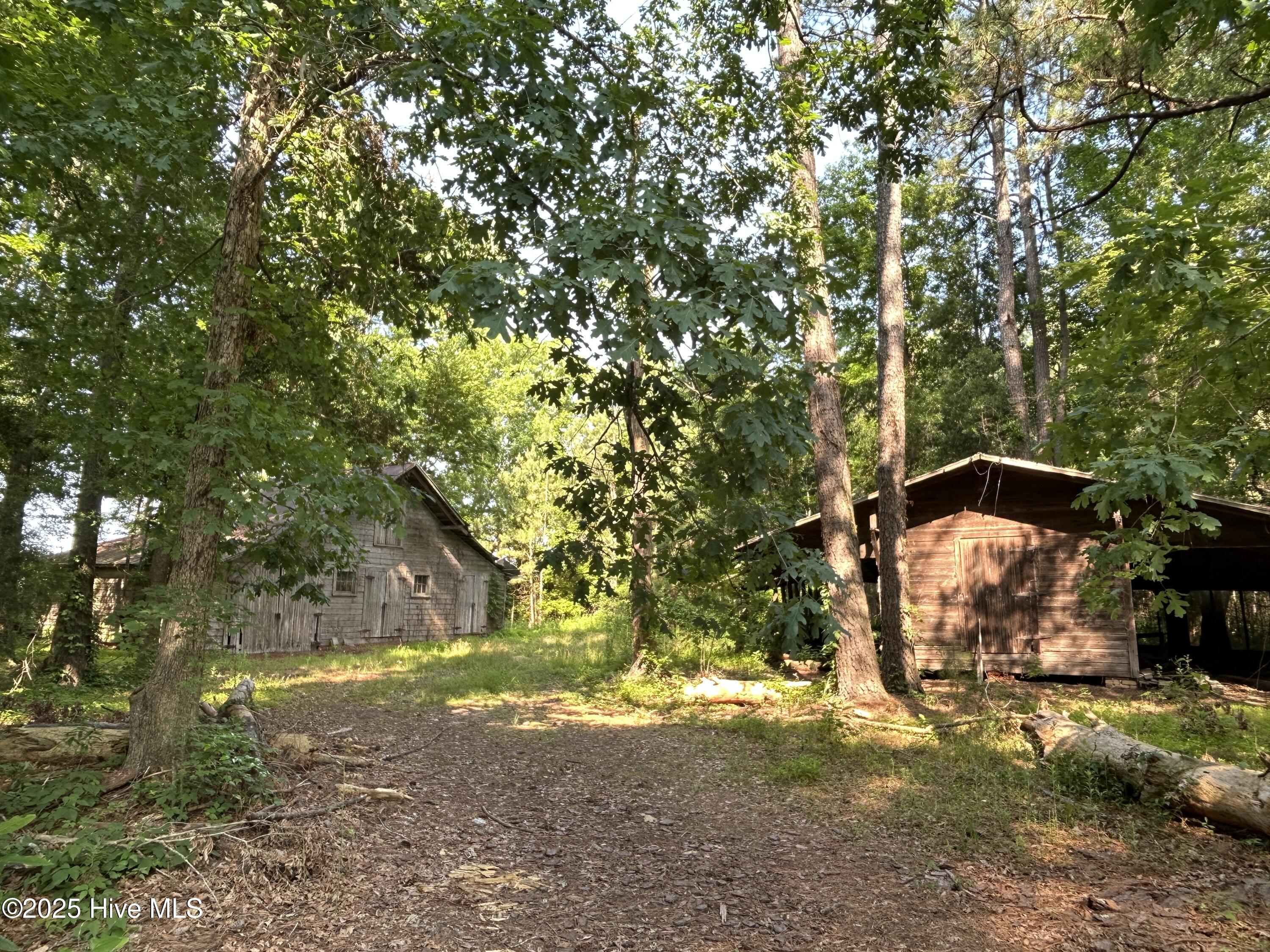 Tbd Colville Street Rowland, NC 28383 - Photo 1 of 17 Wooded Structures
