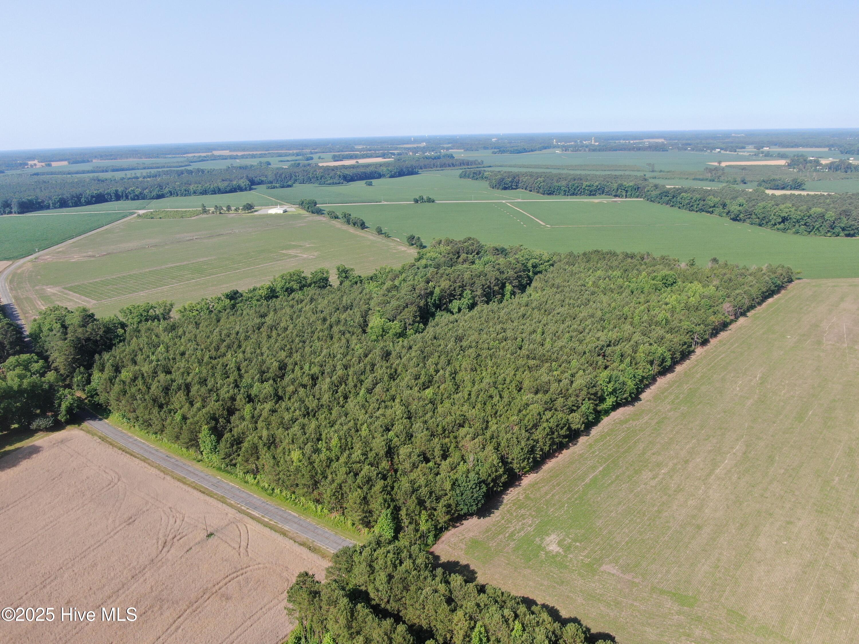 Tbd Colville Street Rowland, NC 28383 - Photo 14 of 17 DJI_0783