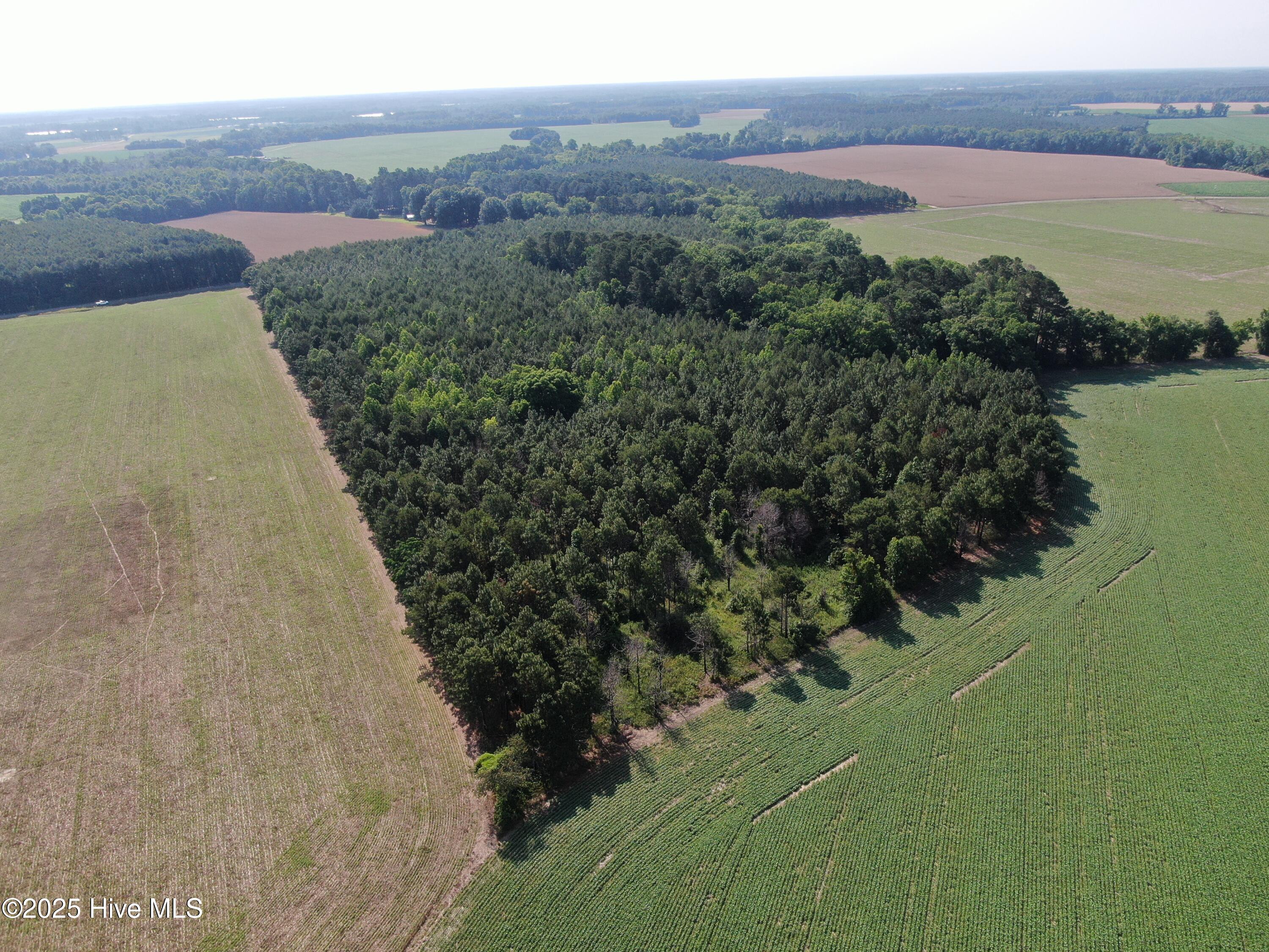 Tbd Colville Street Rowland, NC 28383 - Photo 15 of 17 DJI_0793