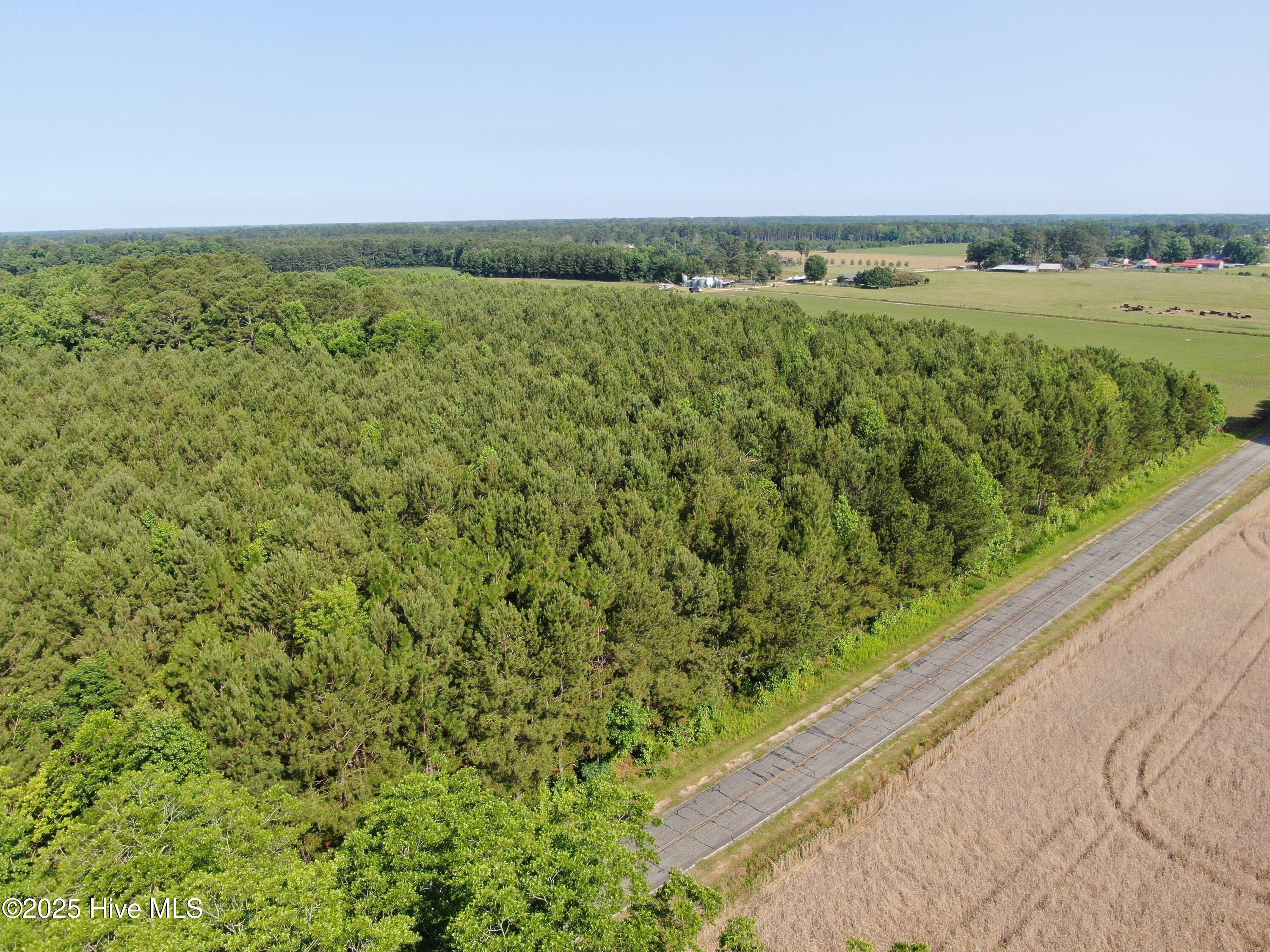 Tbd Colville Street Rowland, NC 28383 - Photo 16 of 17 DJI_0797