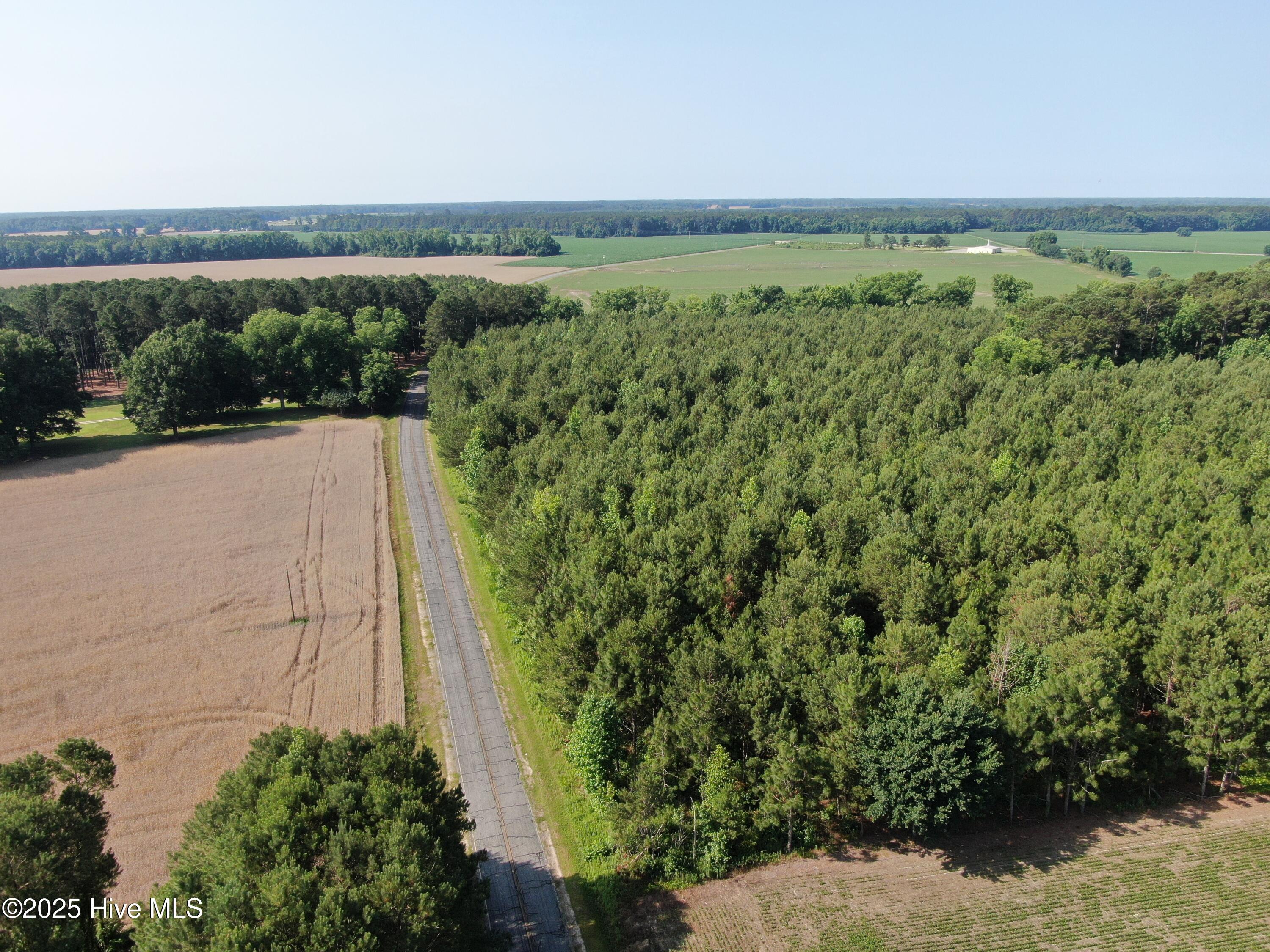 Tbd Colville Street Rowland, NC 28383 - Photo 17 of 17 DJI_0801