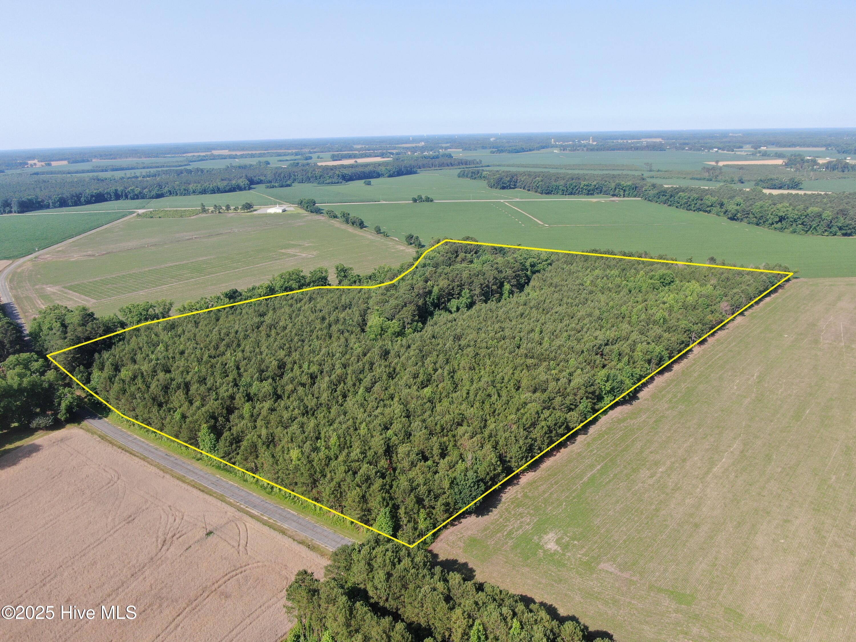 Tbd Colville Street Rowland, NC 28383 - Photo 4 of 17 aerial wiht PL