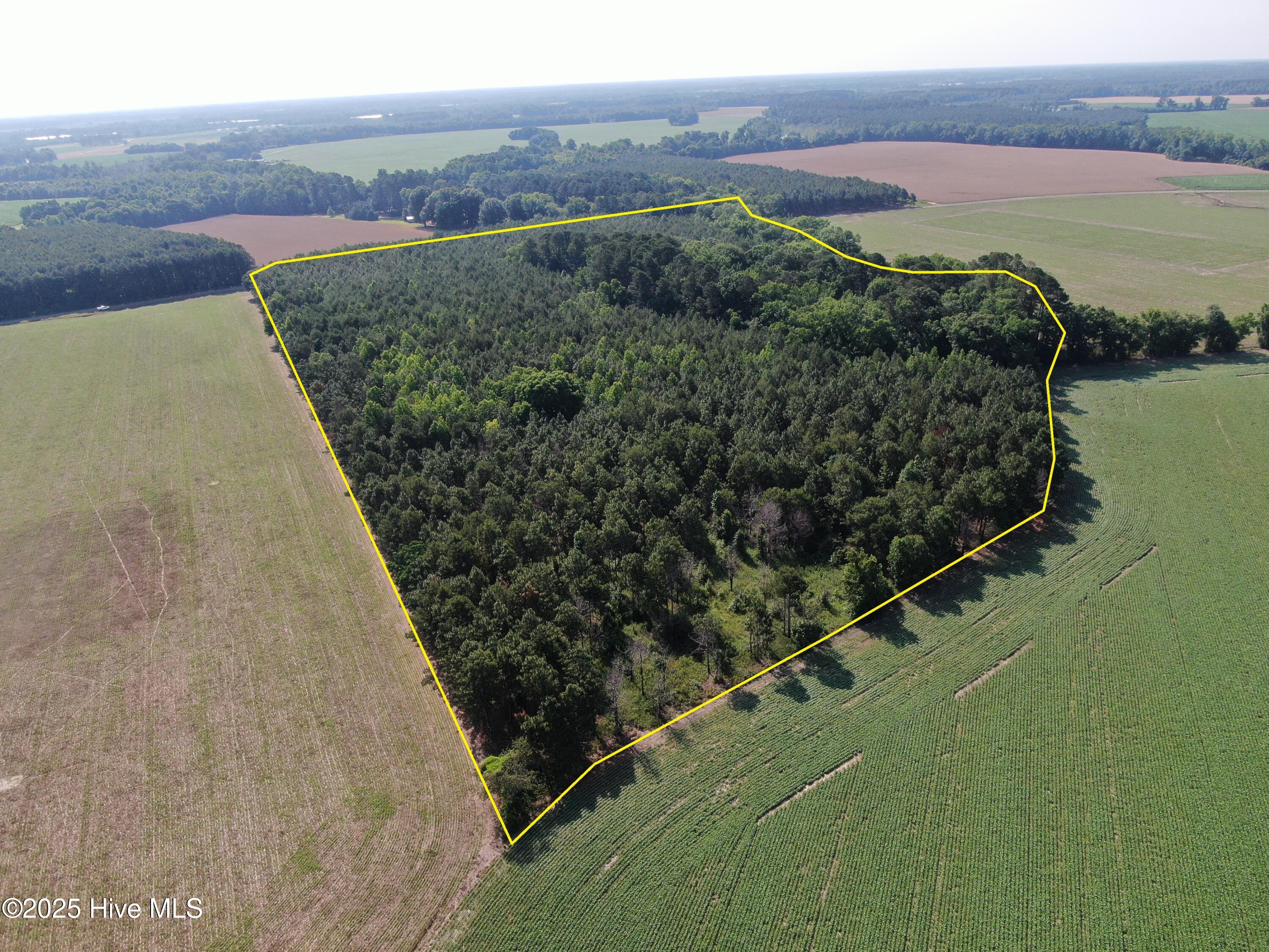 Tbd Colville Street Rowland, NC 28383 - Photo 5 of 17 aerial with PL from west