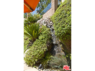 610 Estrellita Way Los Angeles, CA 90049 - Photo 46 of 53 a picture of a tree