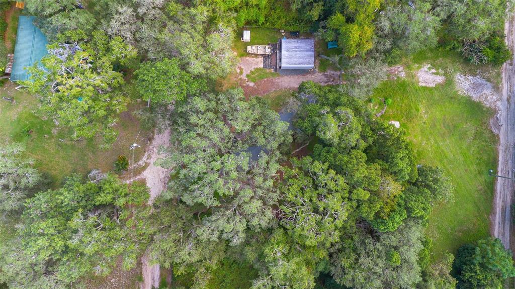 20072 Southeast 155th Place Umatilla, FL 32784 - Photo 22 of 30 a view of a back yard