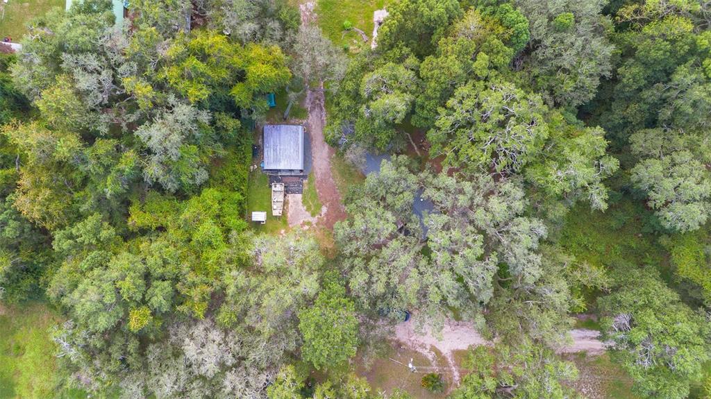 20072 Southeast 155th Place Umatilla, FL 32784 - Photo 23 of 30 a view of a house with a lush green forest