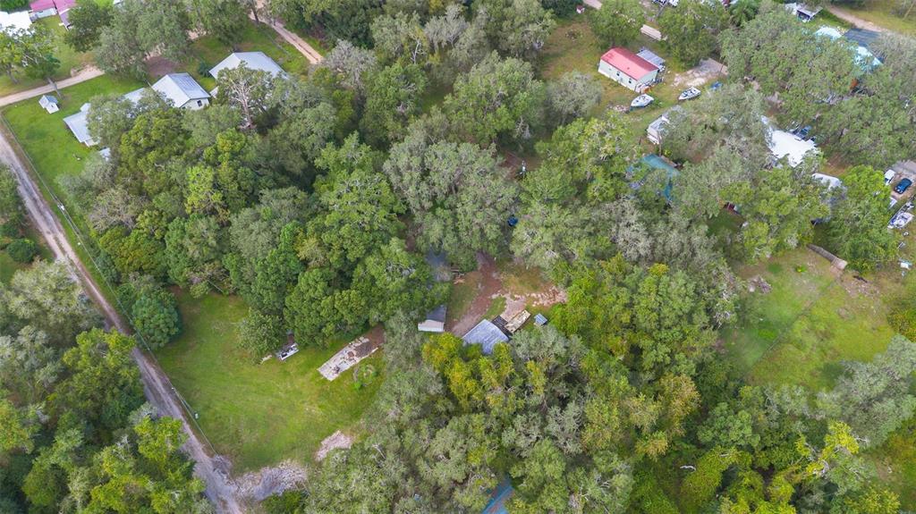 20072 Southeast 155th Place Umatilla, FL 32784 - Photo 26 of 30 a view of a tree with a flower