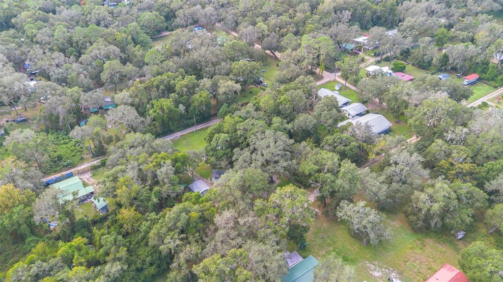 20072 Southeast 155th Place Umatilla, FL 32784 - Photo 27 of 30 a view of a forest with a tree