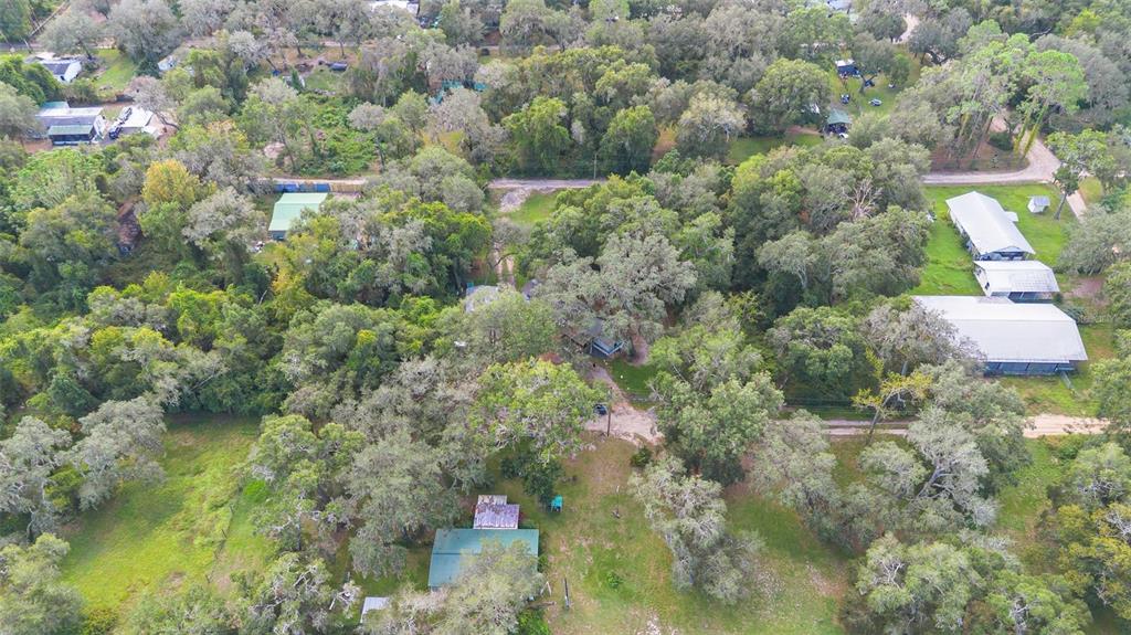 20072 Southeast 155th Place Umatilla, FL 32784 - Photo 28 of 30 a close up of a house in a forest
