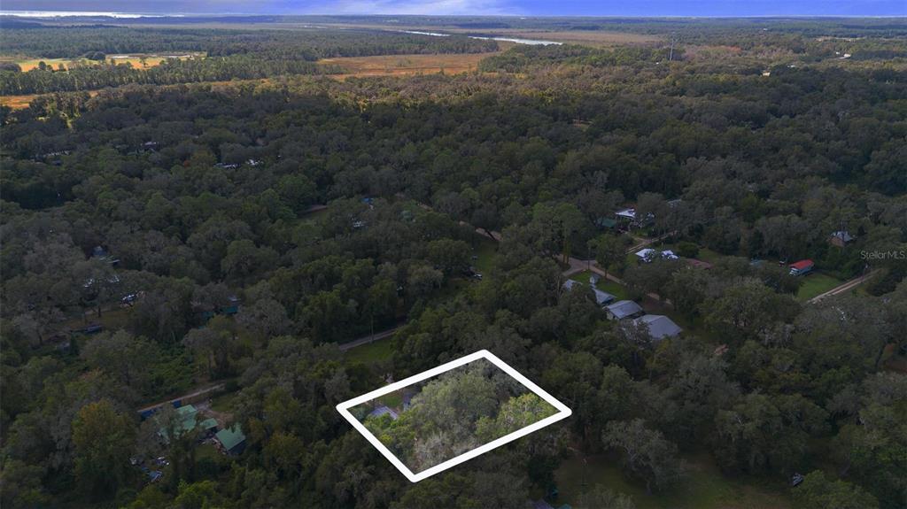 20072 Southeast 155th Place Umatilla, FL 32784 - Photo 30 of 30 a view of a yard with a forest