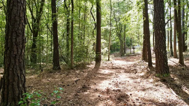 a view of outdoor space and trees