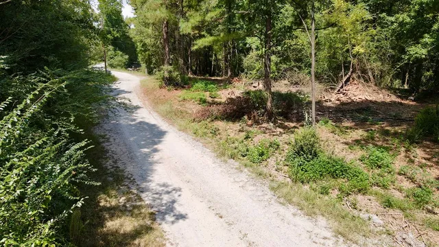a view of a pathway with a yard