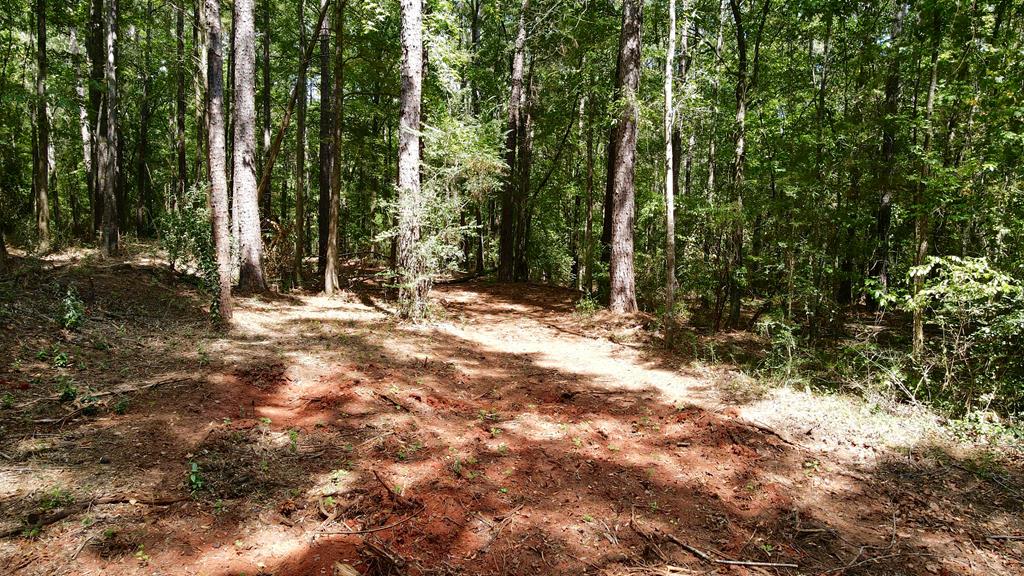 0 Graddick Road Hamilton, GA 31811 - Photo 17 of 20 a view of outdoor space and trees