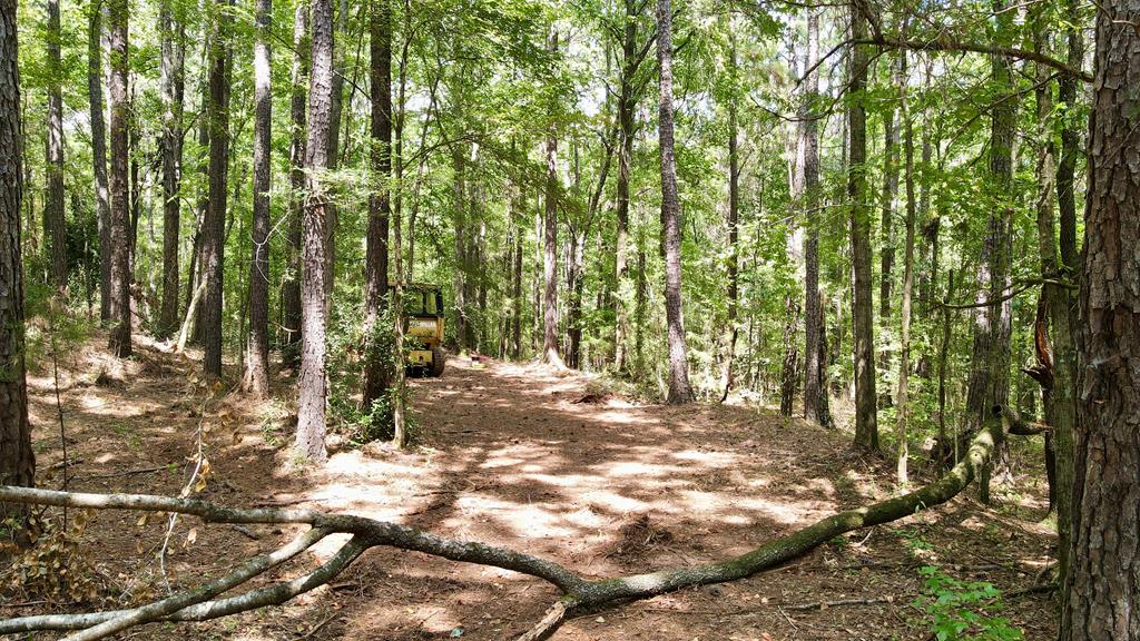 0 Graddick Road Hamilton, GA 31811 - Photo 18 of 20 a view of backyard with green space