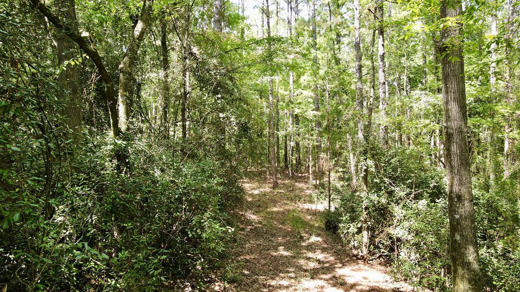 0 Graddick Road Hamilton, GA 31811 - Photo 19 of 20