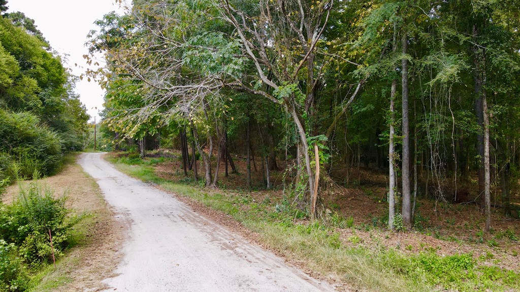 0 Graddick Road Hamilton, GA 31811 - Photo 2 of 20 a backyard of a house with lots of green space