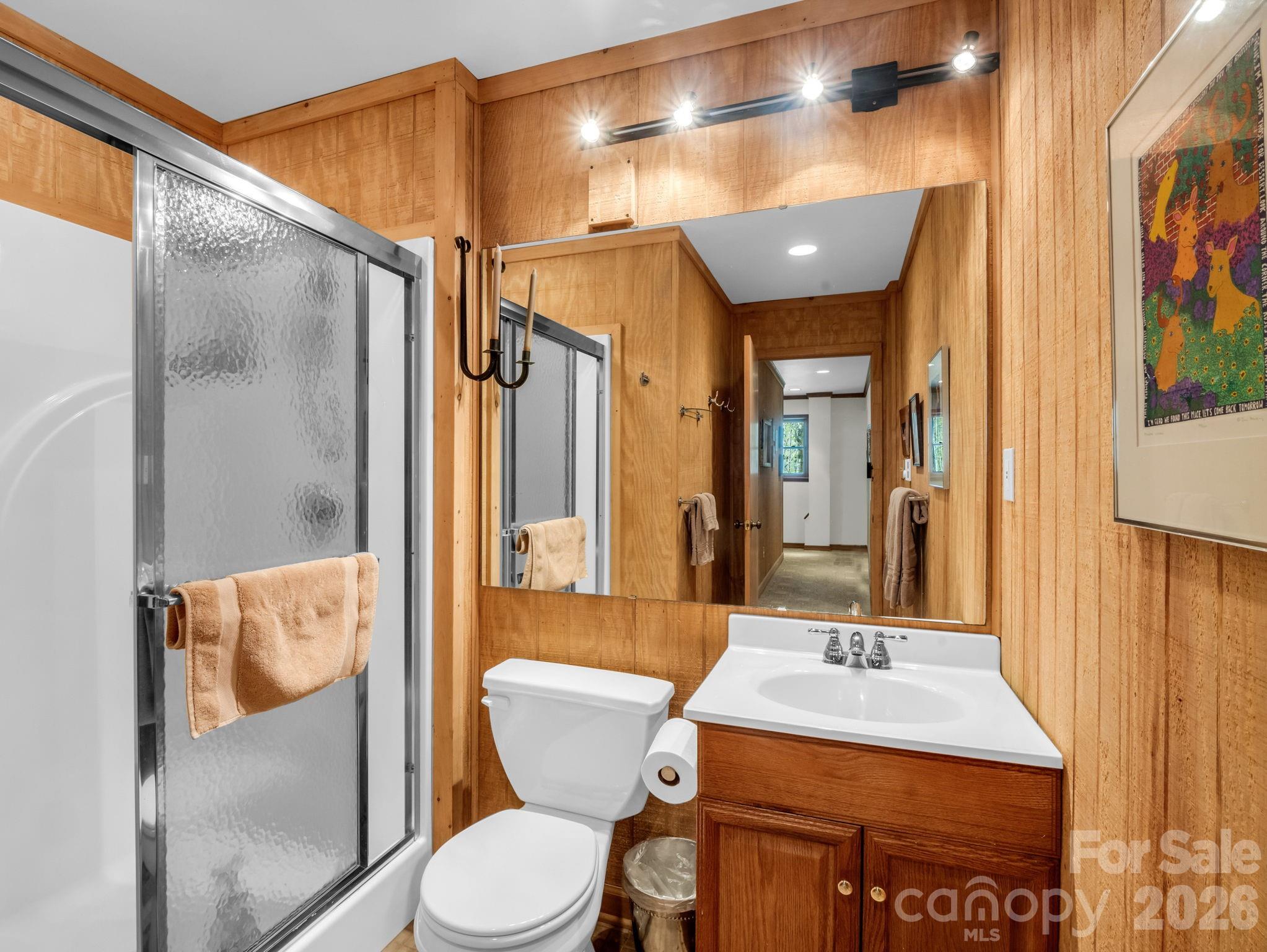 780 Rixhaven Drive Saluda, NC 28773 - Photo 25 of 36 a bathroom with a sink a toilet and shower