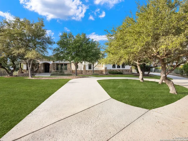 a park with lots of trees and plants