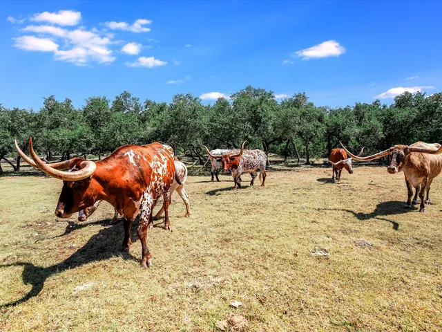 $4,950,000 | 2874 Elder Hill Road, Driftwood, TX 78619