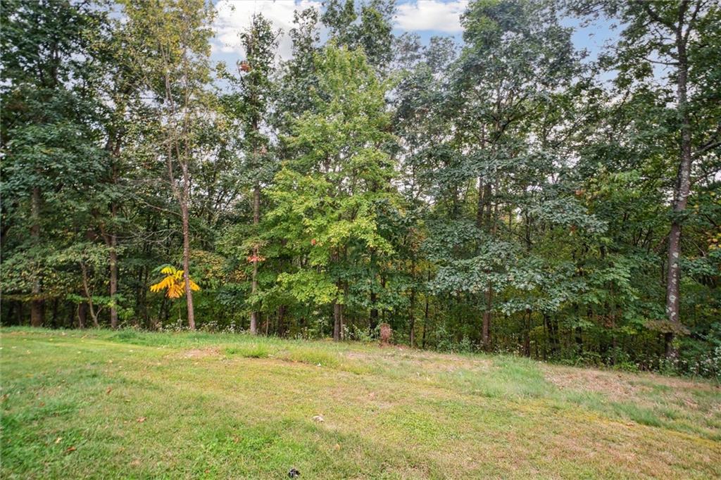167 Wilkinson Road Templeton, PA 16259 - Photo 45 of 49 a view of a field with a tree