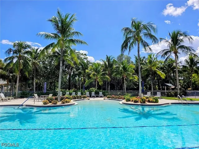 a view of a park with palm trees