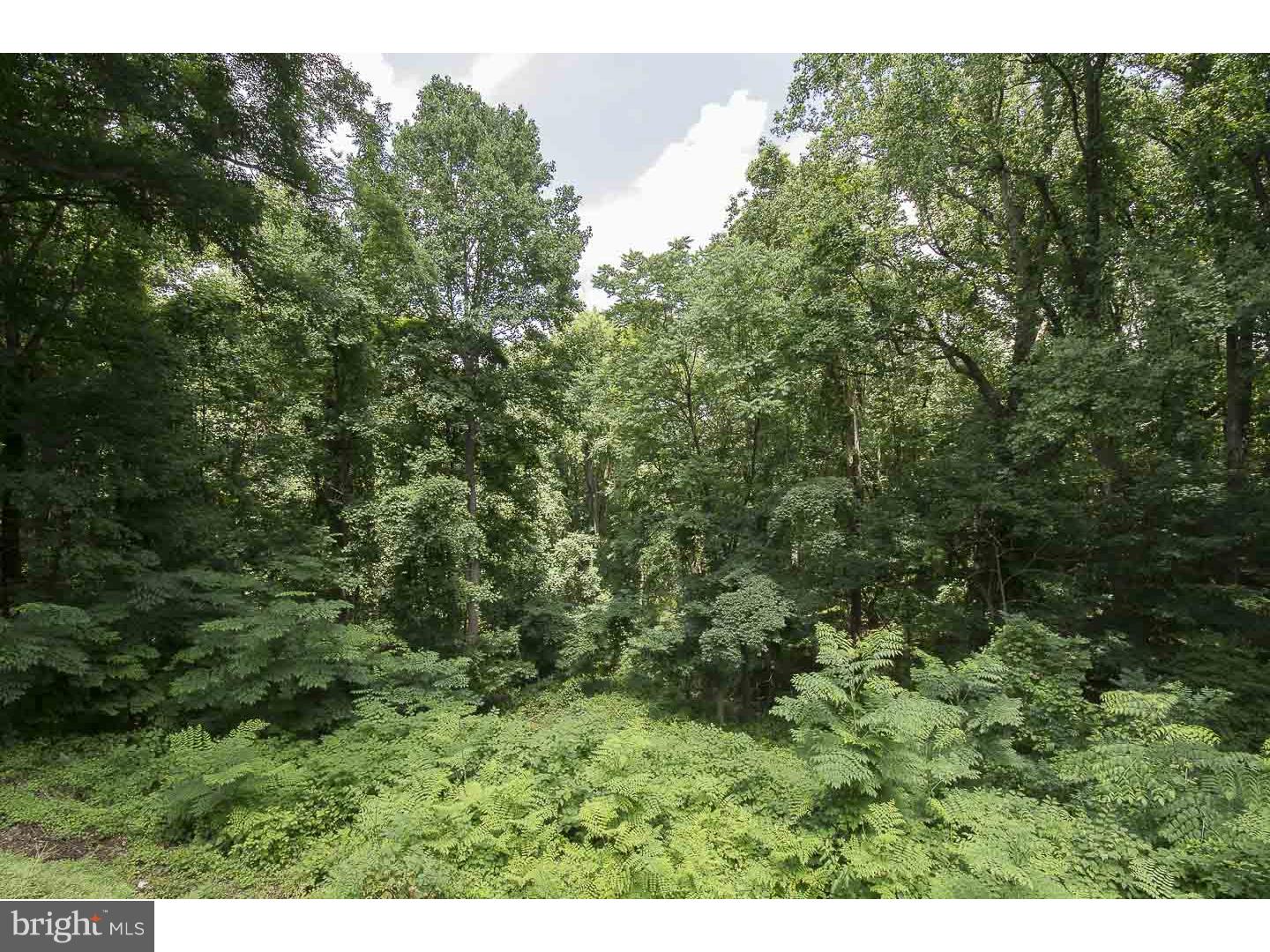 1450 Flat Rock Road Penn Valley, PA 19072 - Photo 23 of 24 Gallery Image 23