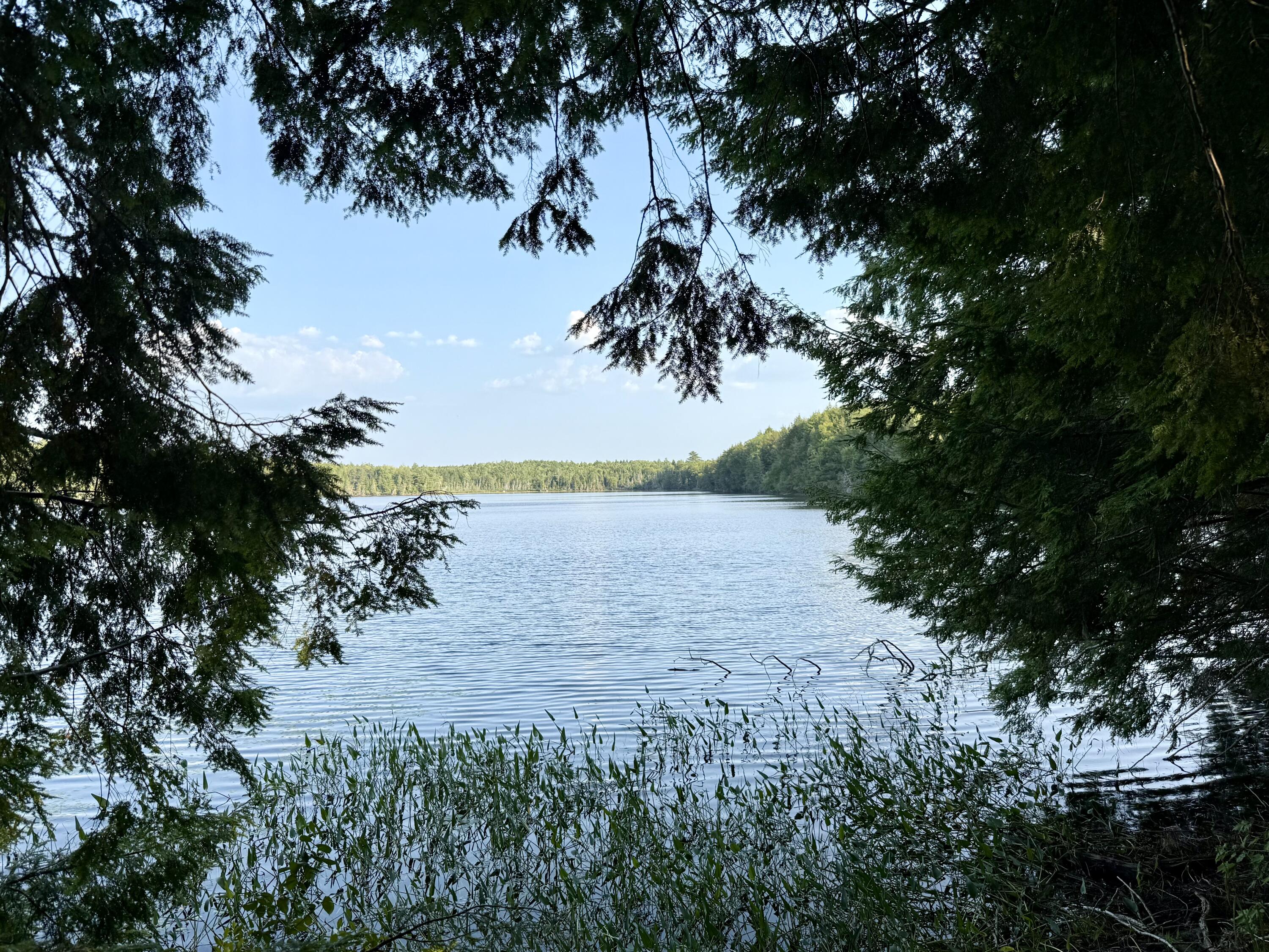Tbd Democrat Ridge Road Waite, ME 04492 - Photo 25 of 29 Patten Pond