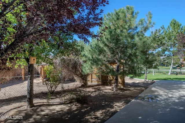 a view of a tree in the middle of a yard