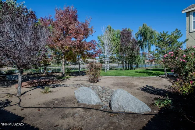 a view of a park with large trees