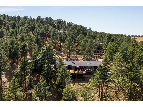 a view of backyard with cabin