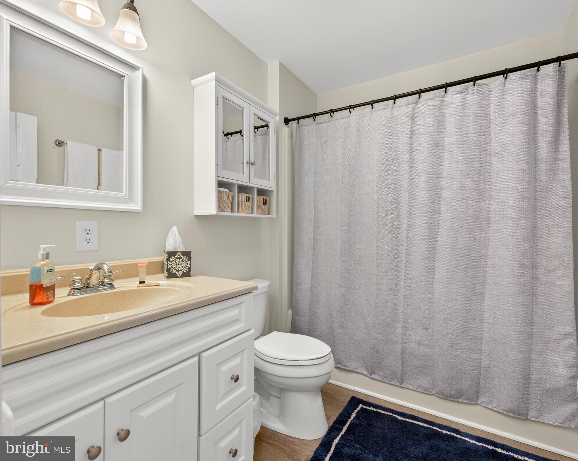 4028 South F T Valley Road Etlan, VA 22719 - Photo 64 of 101 a bathroom with a sink a toilet and shower curtain
