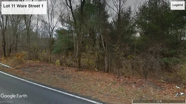 a view of a forest that has large trees