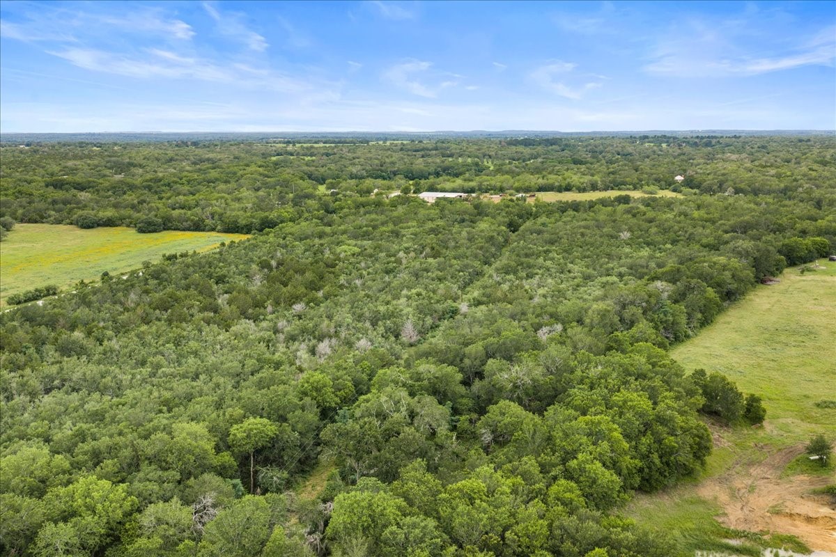 0 Charcoal Road Rosanky, TX 78953 - Photo 4 of 10