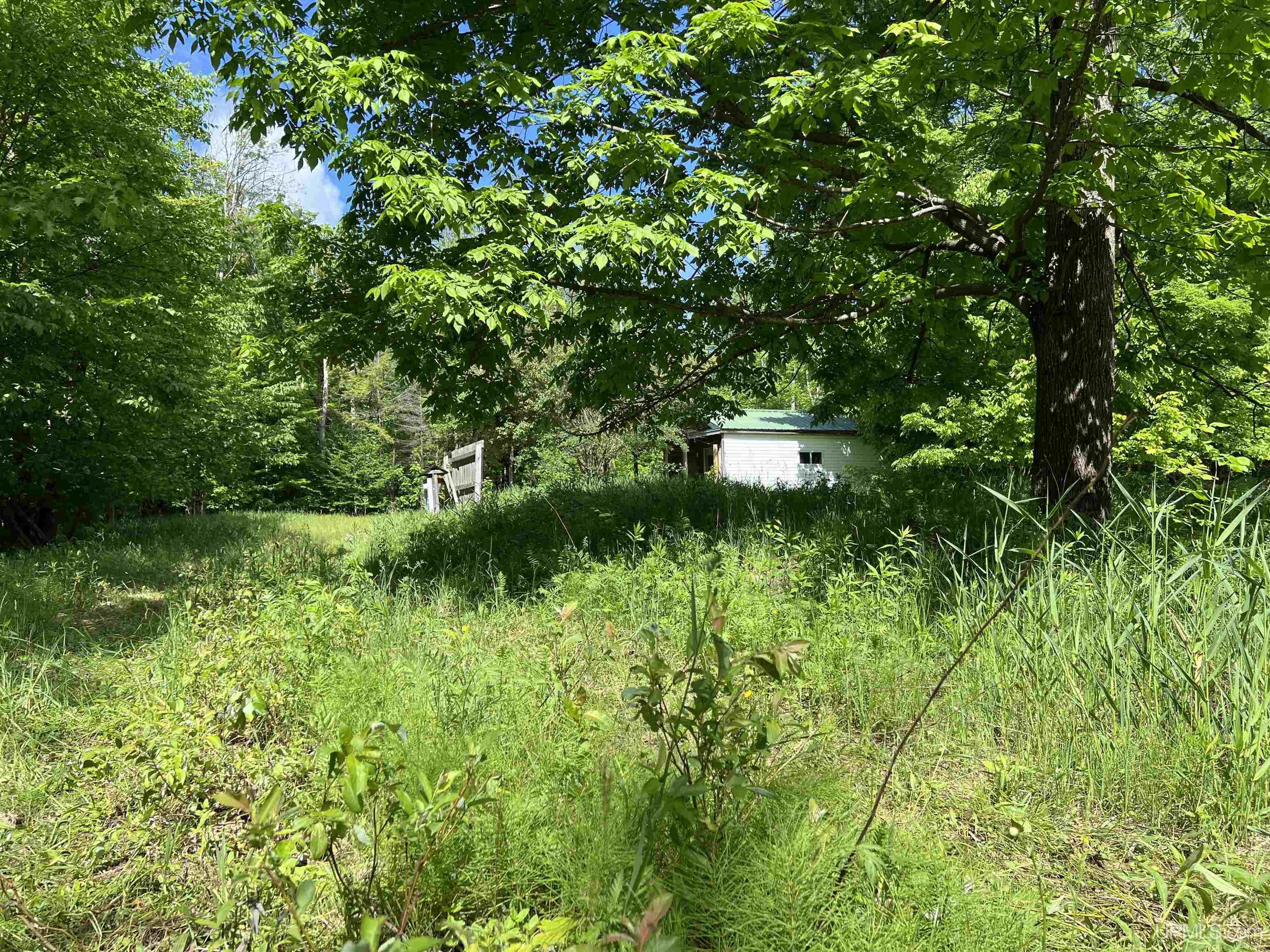 Tbd Roland Lake Road Skanee, MI 49962 - Photo 18 of 18