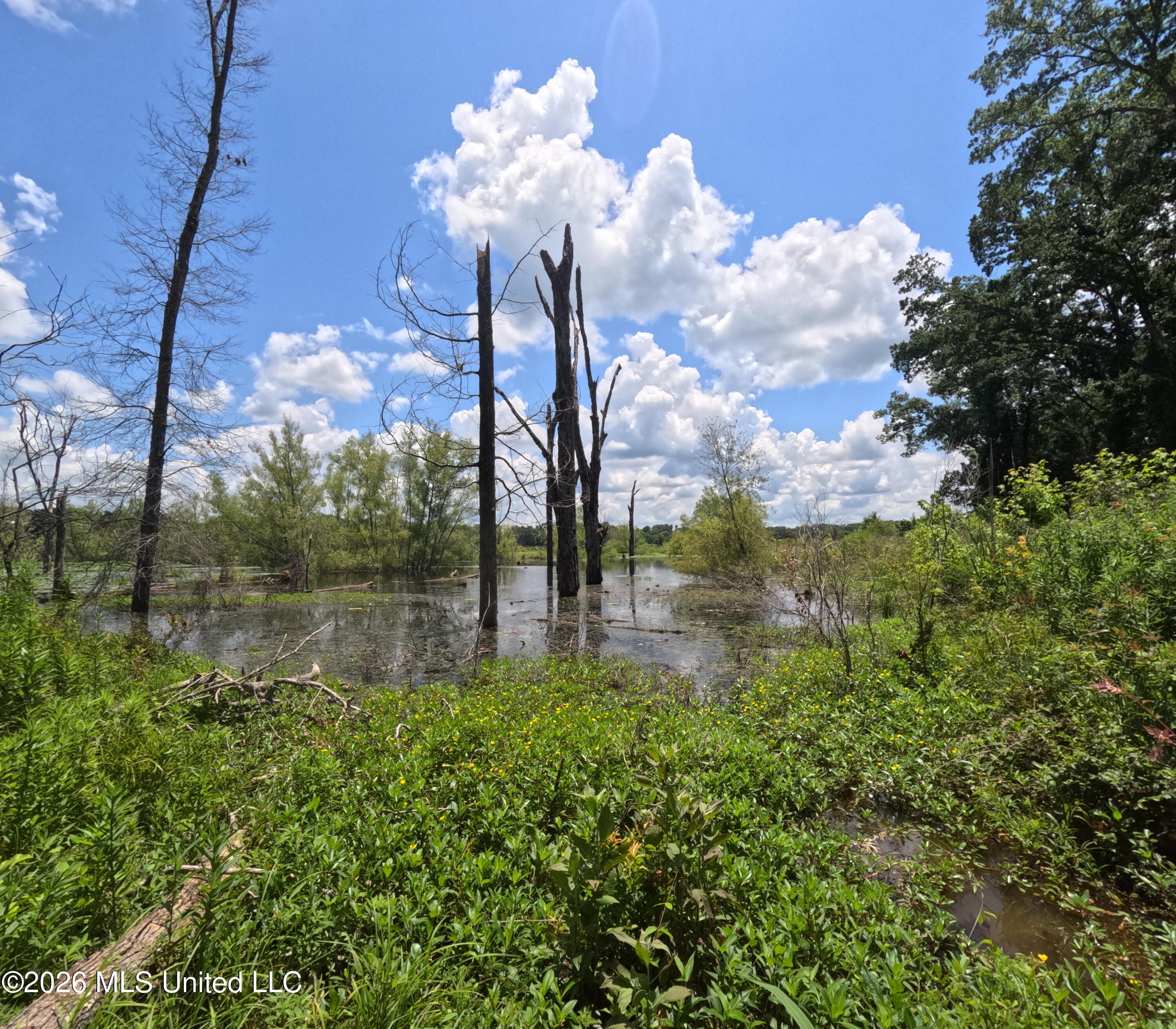 Old Port Edwards, MS 39066 - Photo 17 of 65 GOPR2266