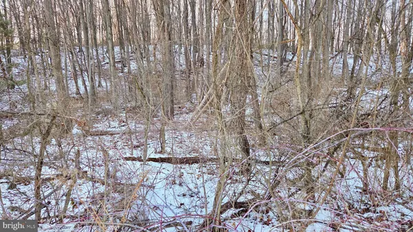 $4,900 | Foxglove Road, Altoona, PA 16601