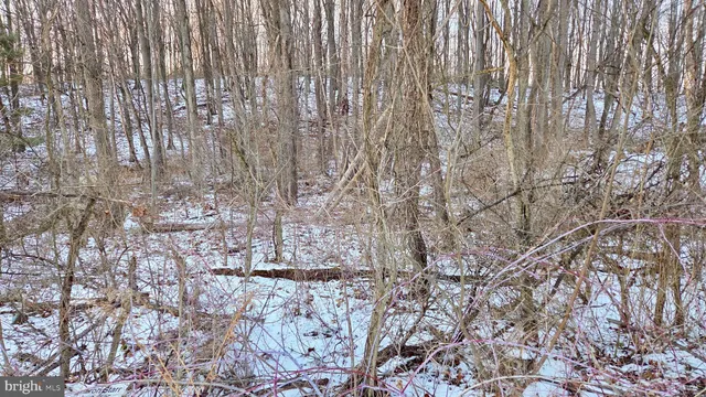 $7,800 | Foxglove Road, Altoona, PA 16601